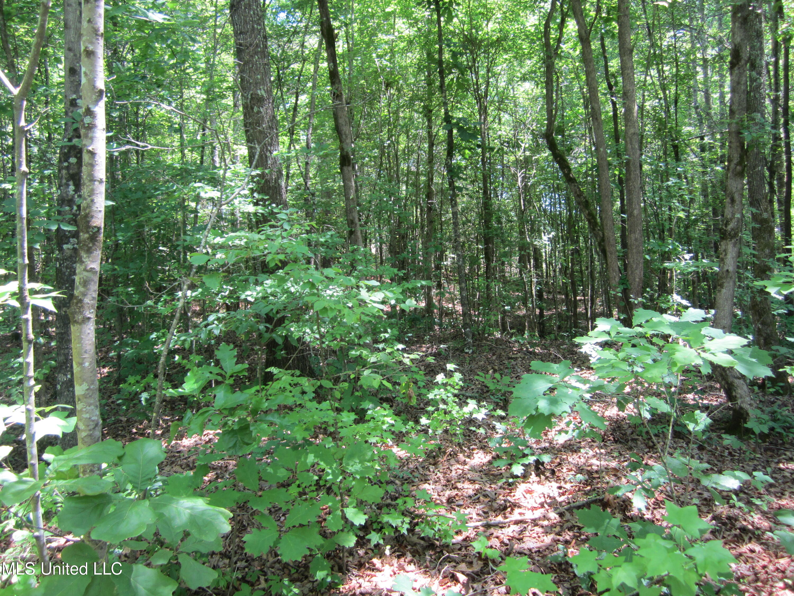 7 Co Road Hickory Flat, MS 38633 - Photo 9 of 20 IMG_7269