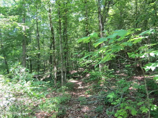 $298,310 | 7 Co Road, Hickory Flat, MS 38633