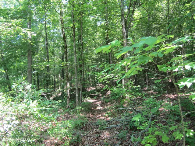 $298,310 | 7 Co Road, Hickory Flat, MS 38633