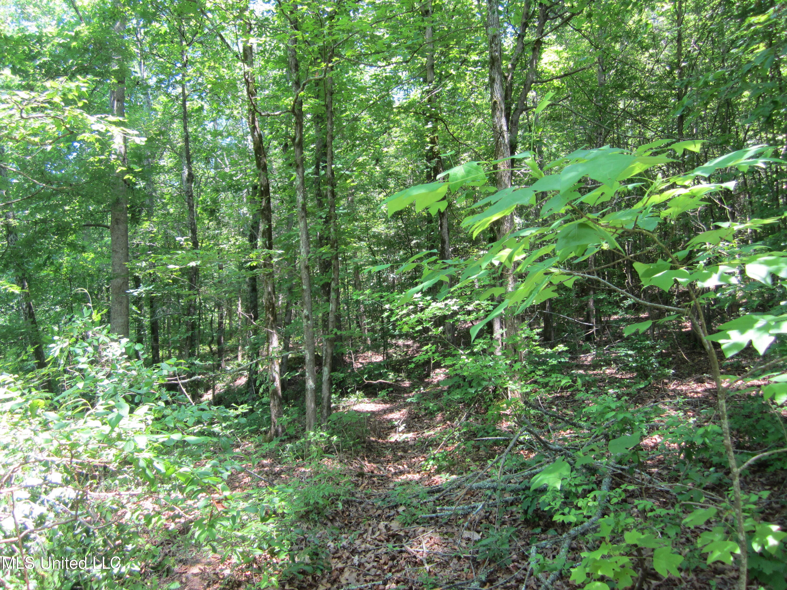 7 Co Road Hickory Flat, MS 38633 - Photo 10 of 20 IMG_7270