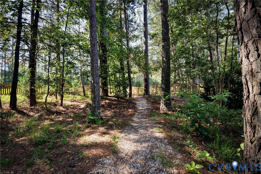11385 Winding River Road Providence Forge, VA 23140 - Photo 37 of 43 a view of outdoor space and trees