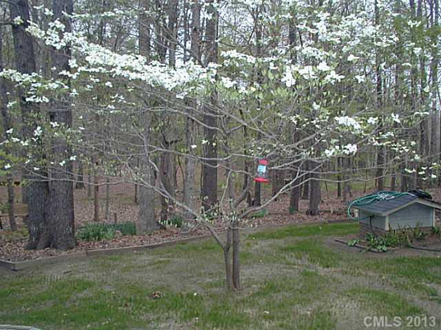 8201 Potter Road Weddington, NC 28104 - Photo 14 of 15 Gallery Image 14