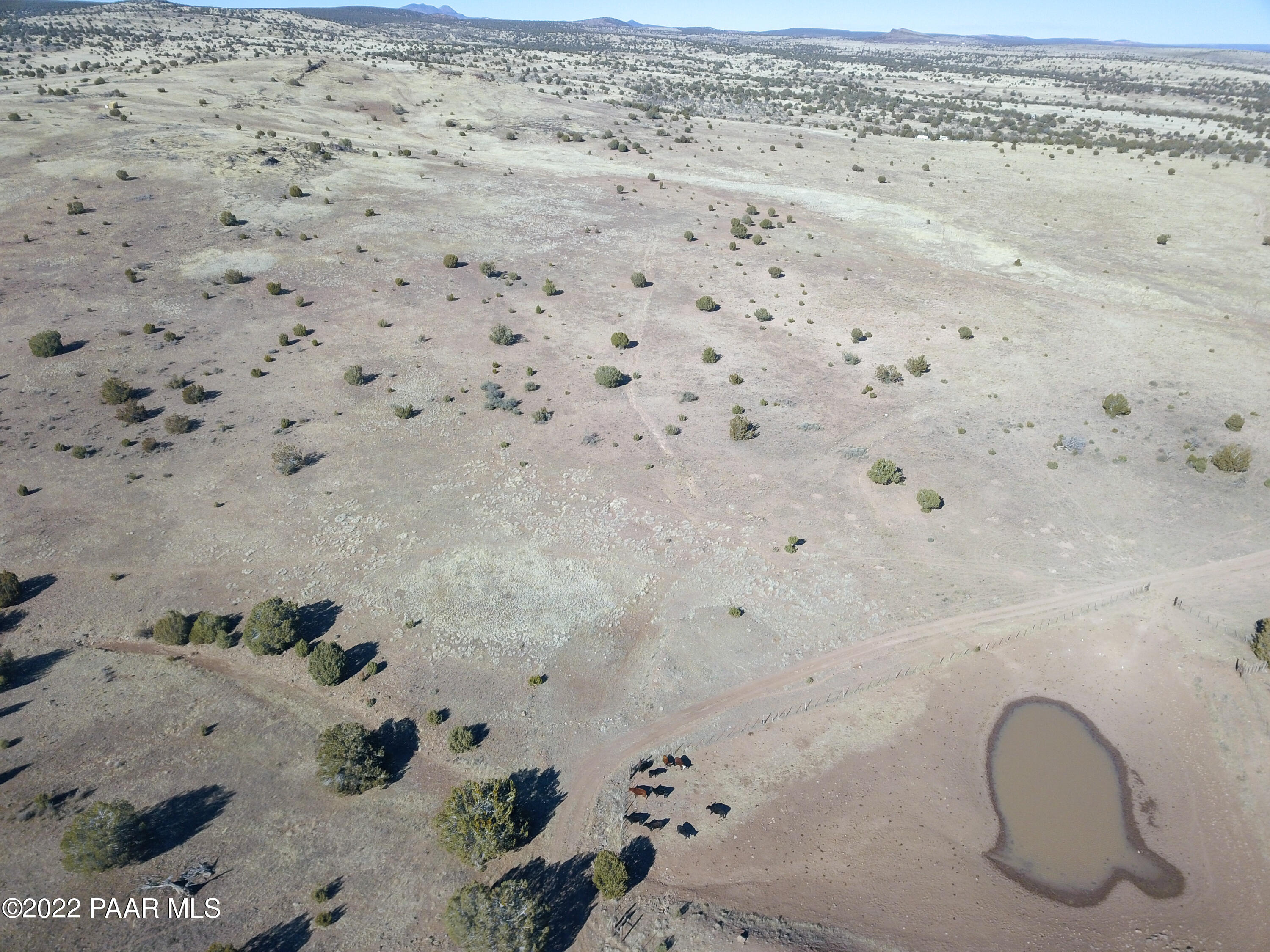 44850 Mile High Road Seligman, AZ 86337 - Photo 29 of 59 DJI_0028