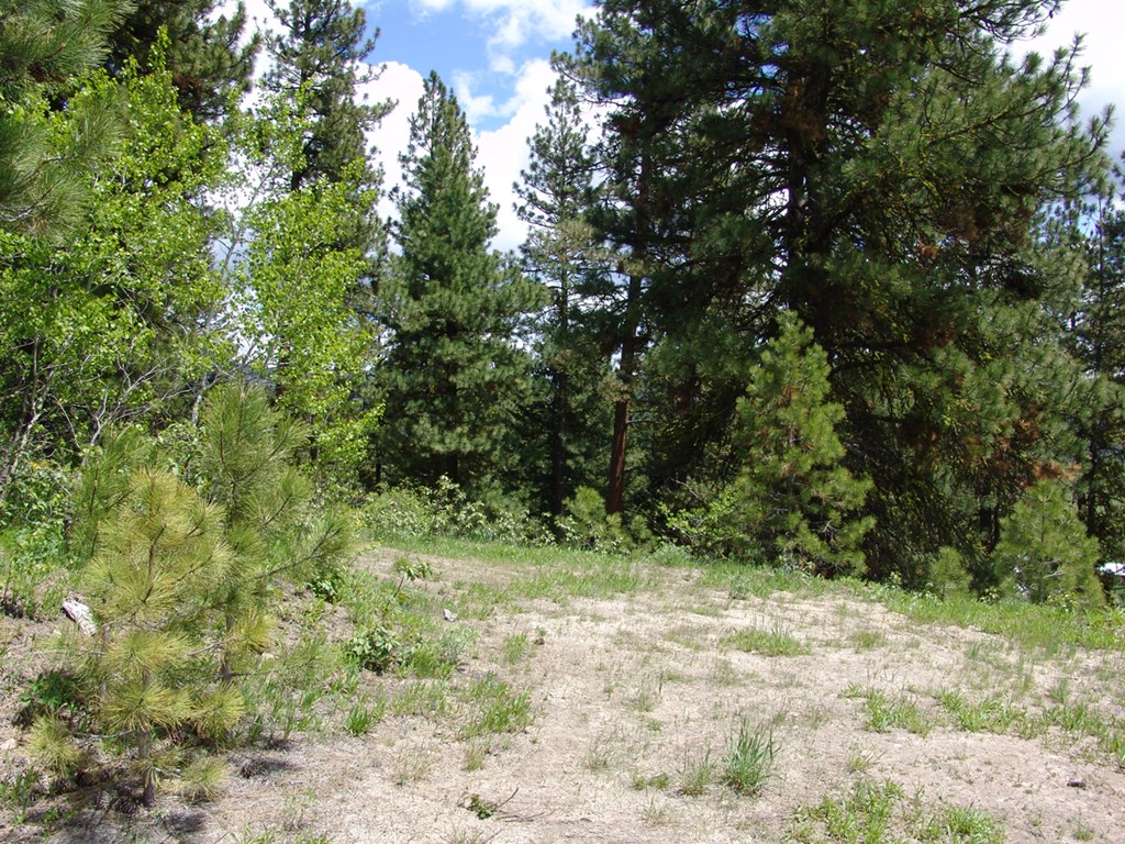 28 Rehn Loop, Unit 2 Cascade, ID 83611 - Photo 7 of 13 Driveway Roughed In