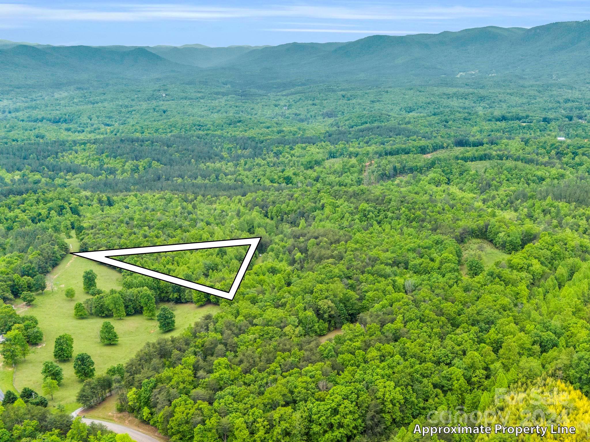 0 Henry Ruff Rd Mill Spring, Unit LOT 2 Mill Spring, NC 28756 - Photo 13 of 13