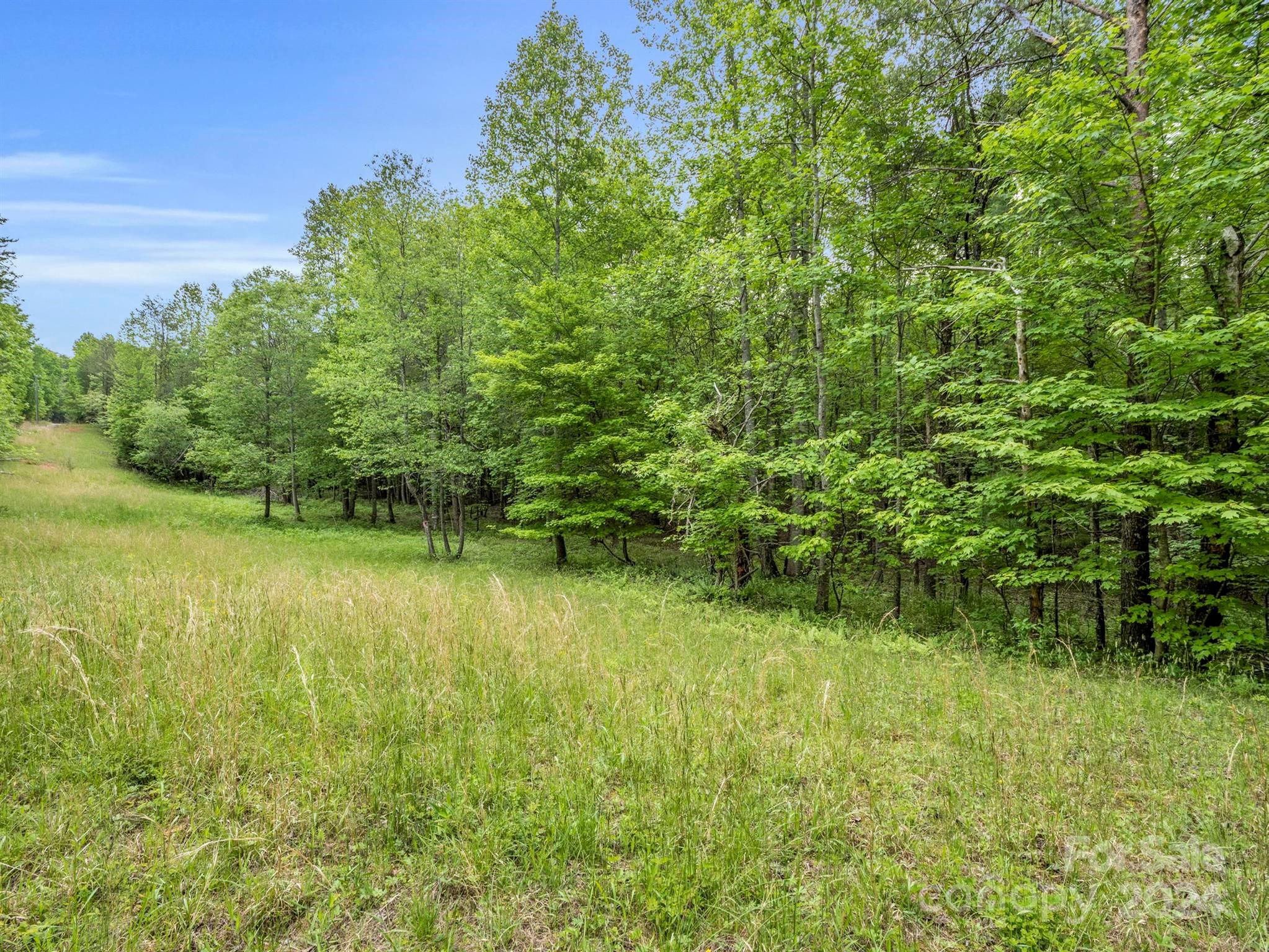0 Henry Ruff Rd Mill Spring, Unit LOT 2 Mill Spring, NC 28756 - Photo 3 of 13 a view of a lake view with a garden