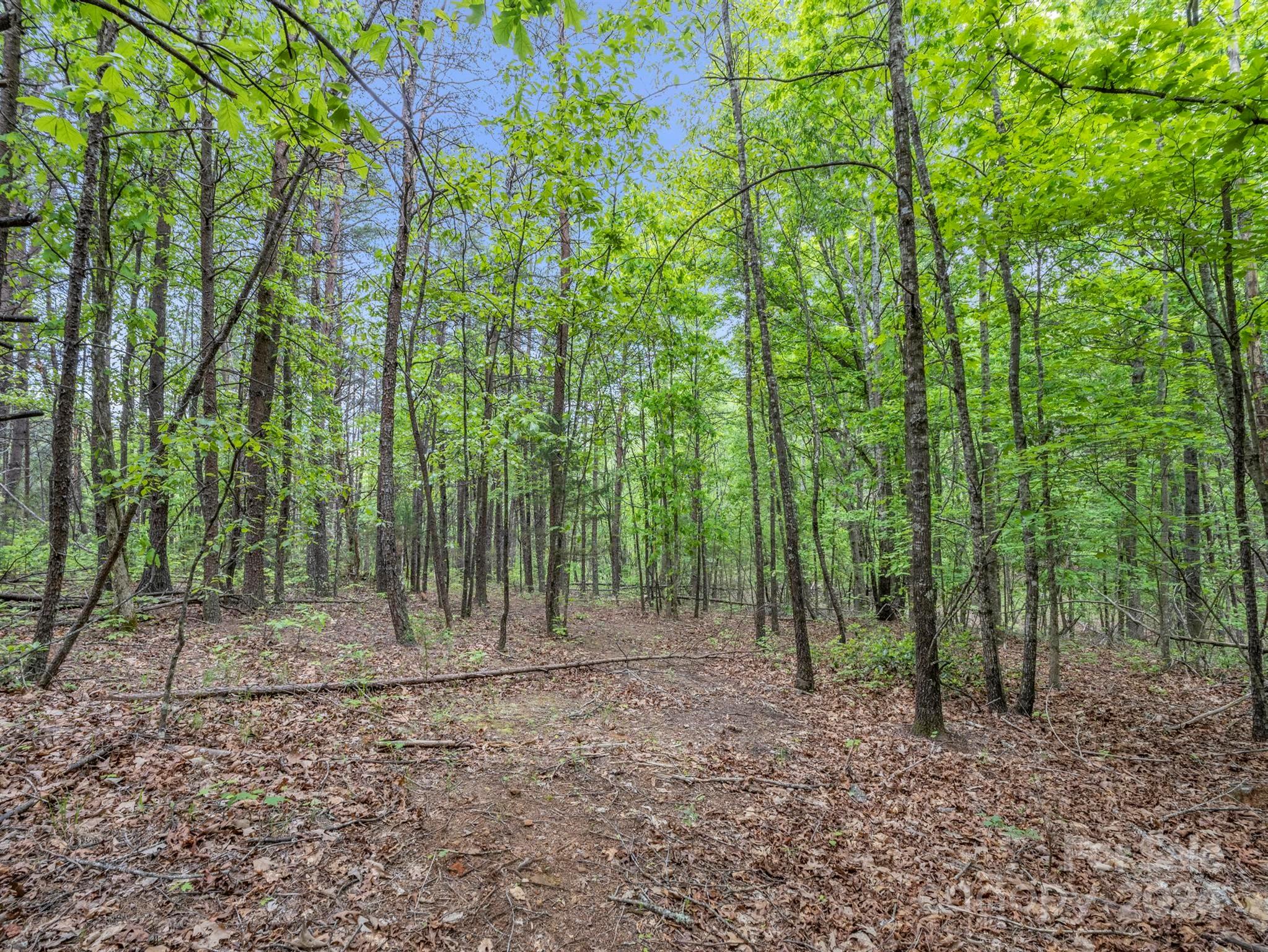 0 Henry Ruff Rd Mill Spring, Unit LOT 2 Mill Spring, NC 28756 - Photo 6 of 13 a view of a backyard with trees