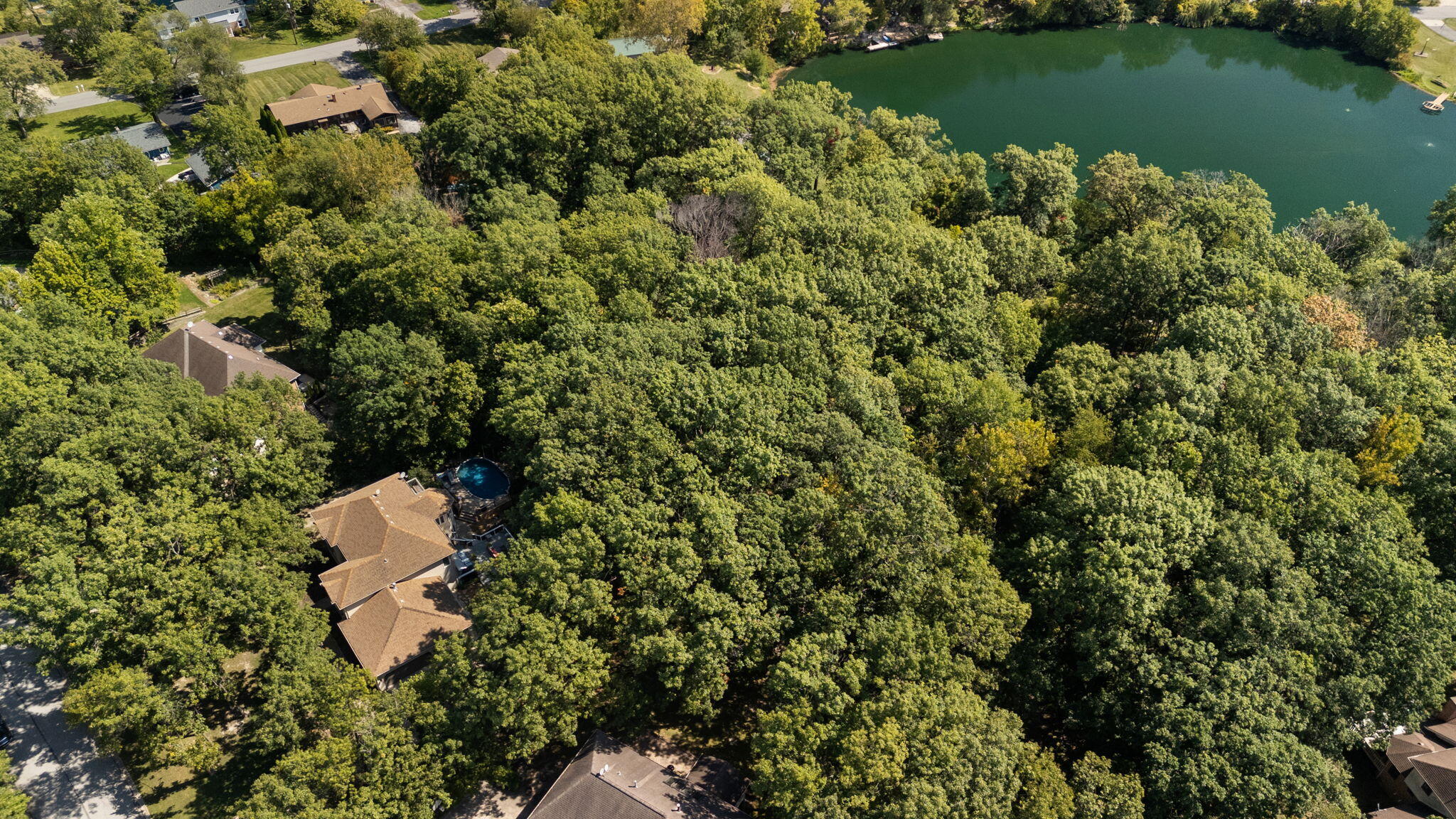 12275 South Williams Court Crown Point, IN 46307 - Photo 61 of 67 an aerial view of a house with a yard and lake view