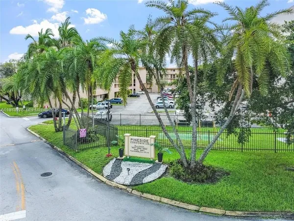 a view of a park with palm trees