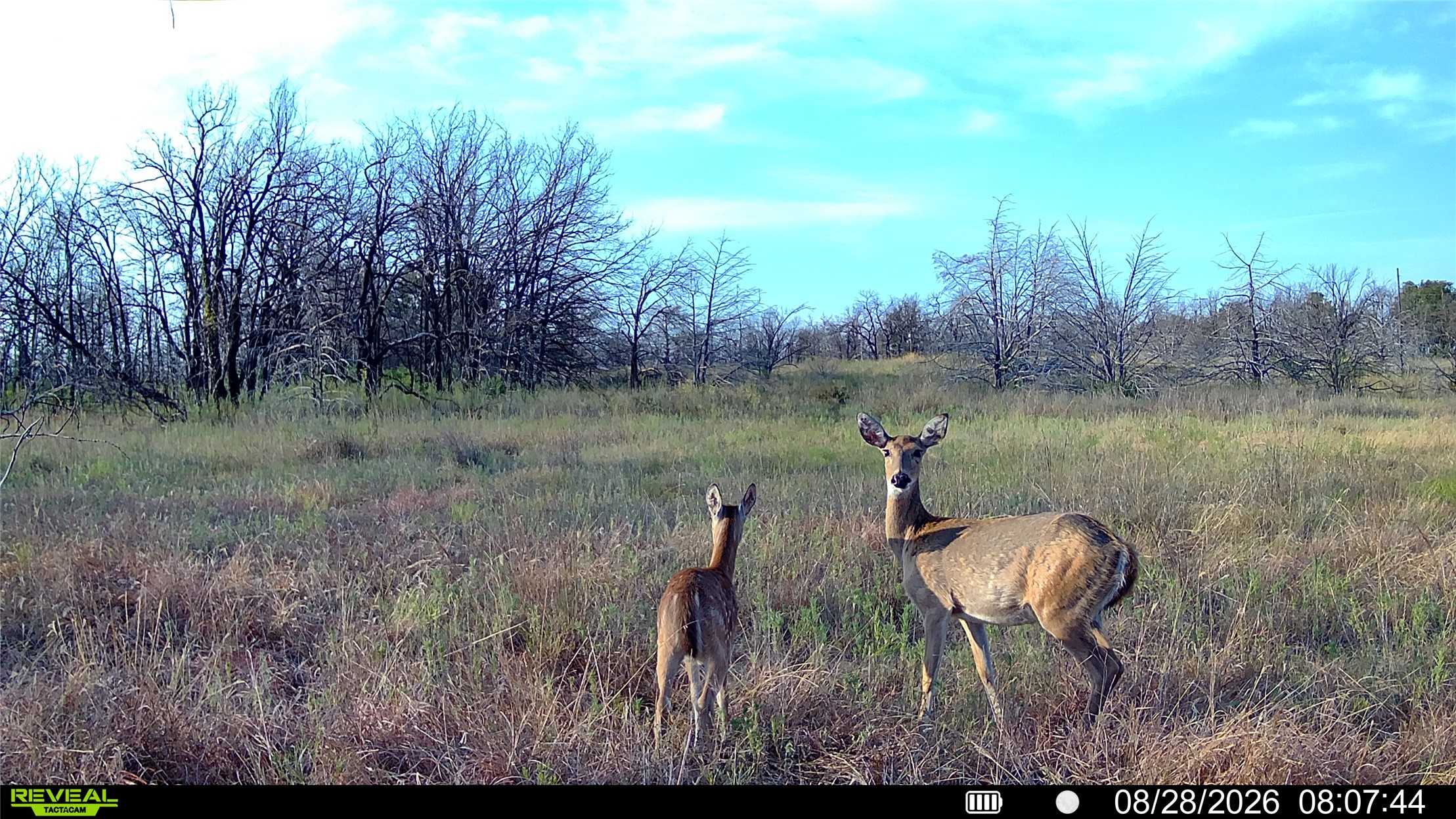 Seward Road East Meridian, OK 73058 - Photo 16 of 26 Additional content