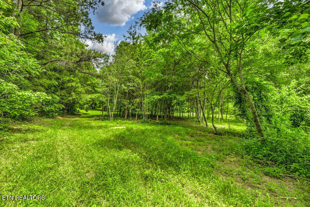 Stone Ridge Drive Andersonville, TN 37705 - Photo 6 of 19 78