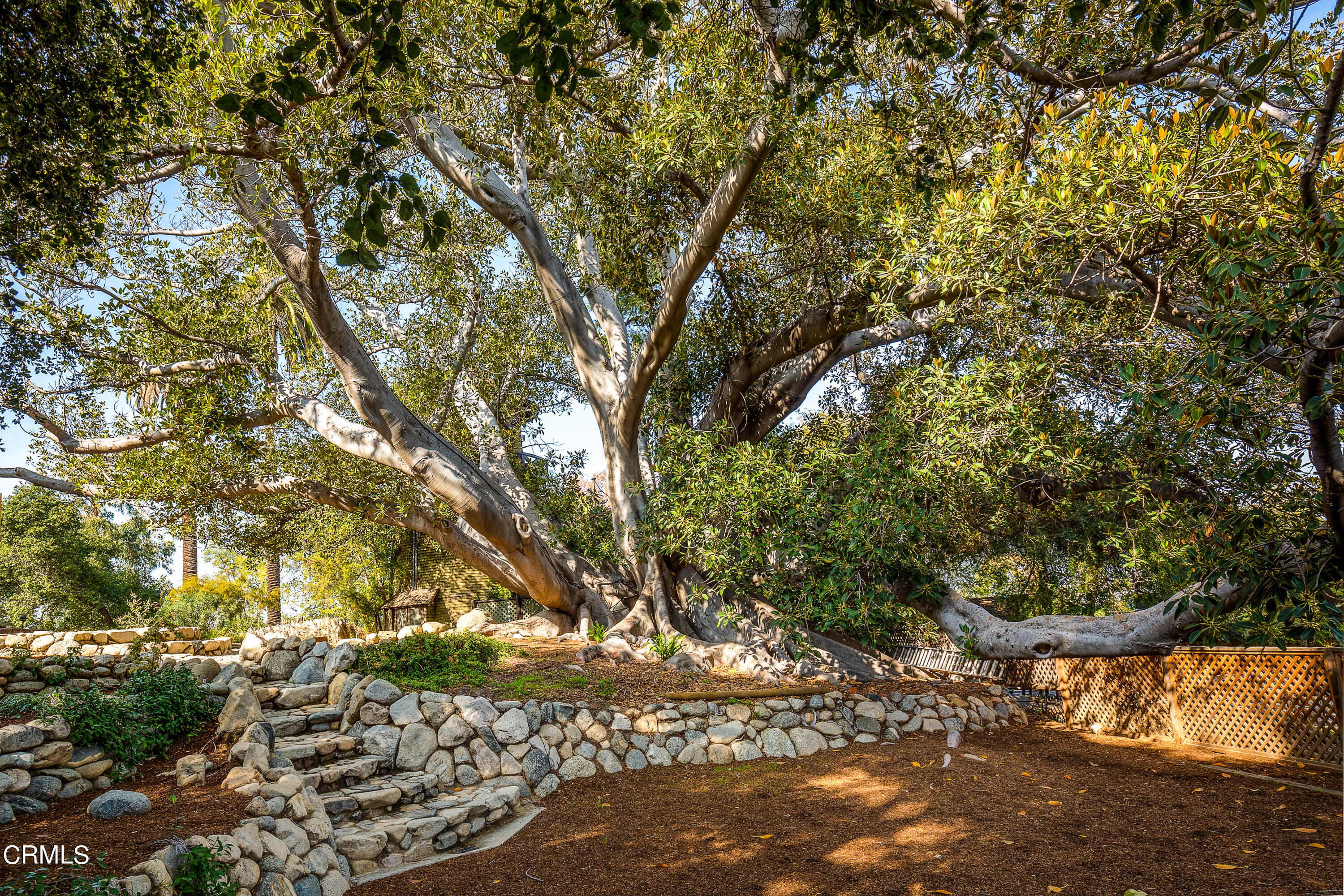 80 Grace Terrace, Unit 5 Pasadena, CA 91105 - Photo 52 of 52 a backyard of a house with a tree