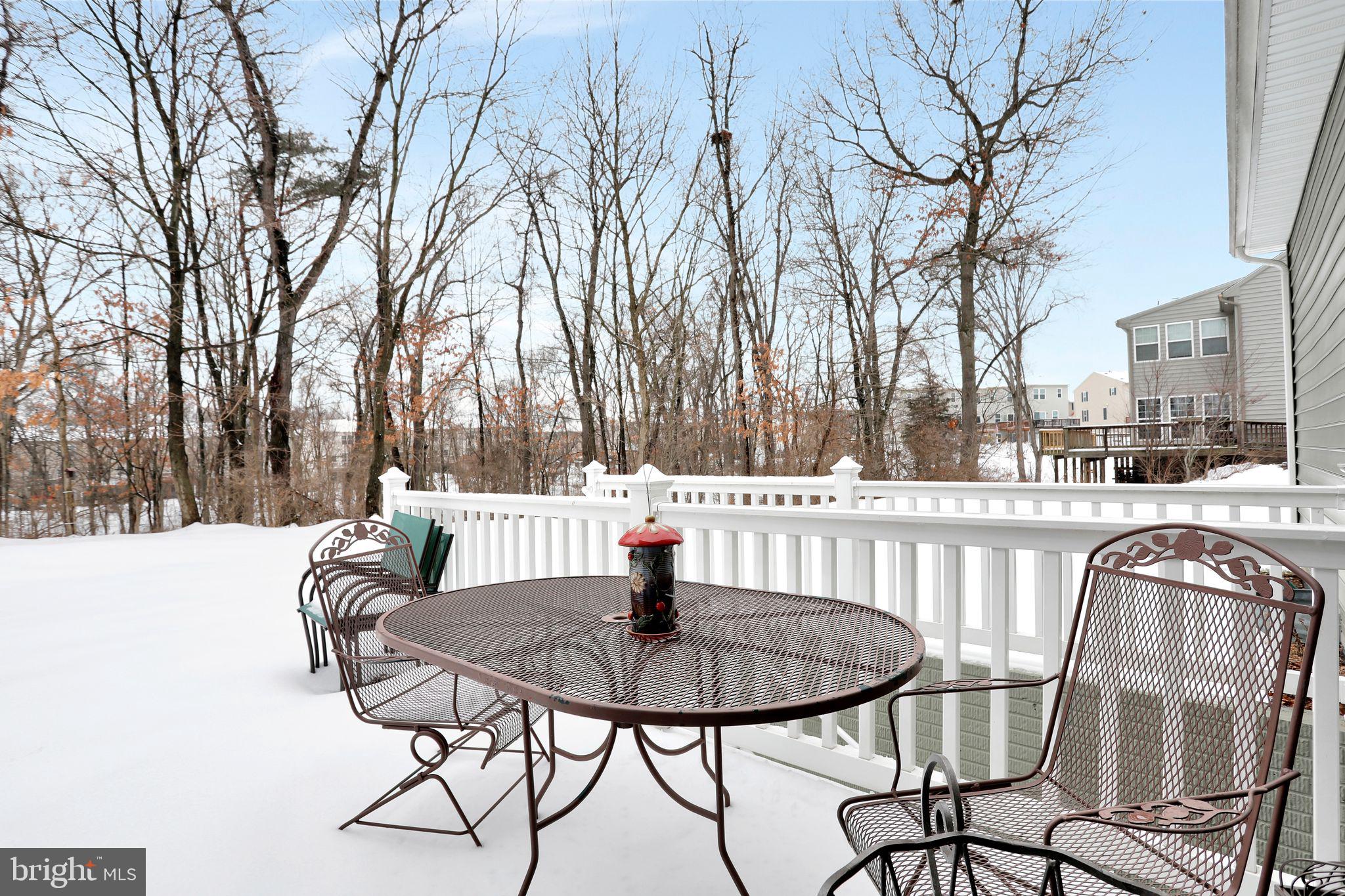 45 Rivanna Run Falling Waters, WV 25419 - Photo 39 of 46 Back Yard