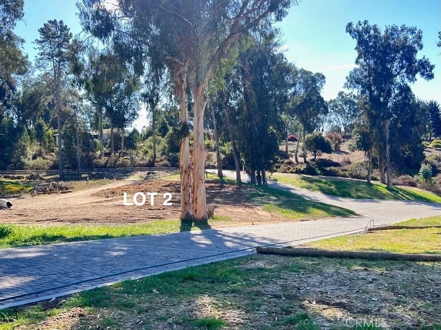 0 Castle Bluff Road Arroyo Grande, CA 93420 - Photo 13 of 36 a view of a yard with palm tree