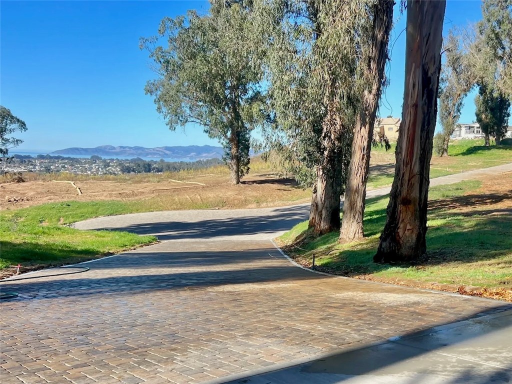 0 Castle Bluff Road Arroyo Grande, CA 93420 - Photo 30 of 36 a view of a yard with an outdoor space