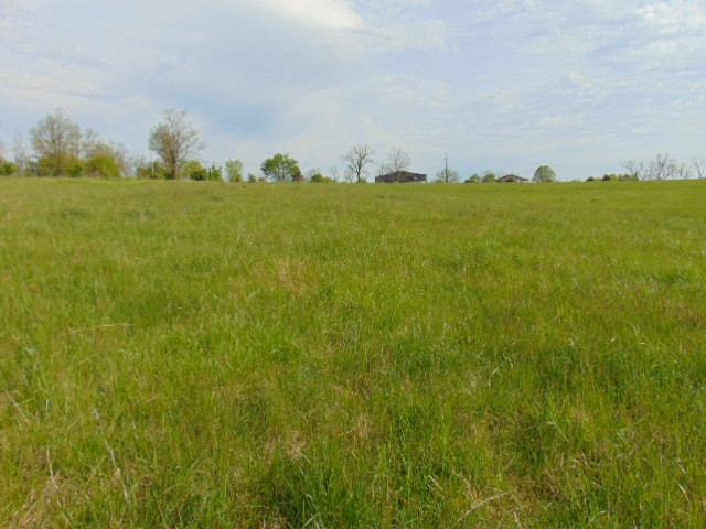 Cull Road Worthville, KY 41098 - Photo 3 of 29 Gallery Image 3
