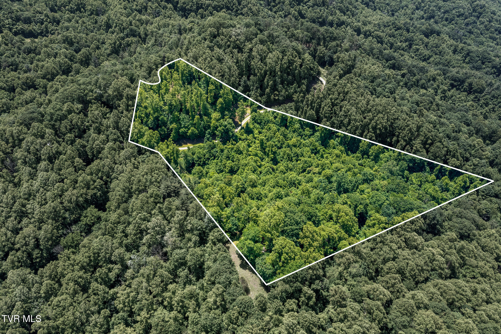 3 Ridgetop Lane, Unit 3 Unicoi, TN 37692 - Photo 10 of 20 Lot 2 Ridgetop Ln (3 of 47)