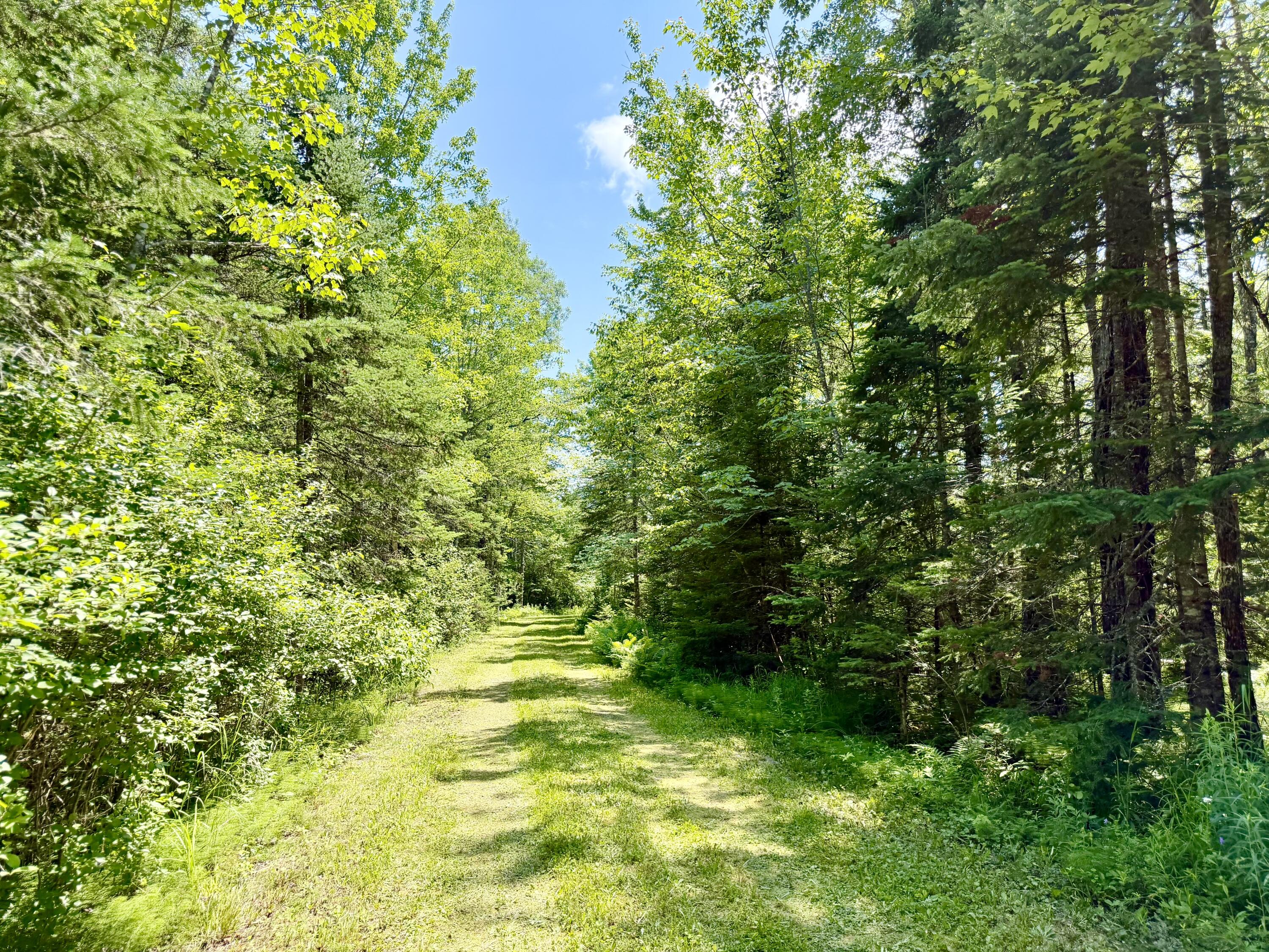 1053 Hudson Hill Road Hudson, ME 04449 - Photo 11 of 61 Road to Cabin