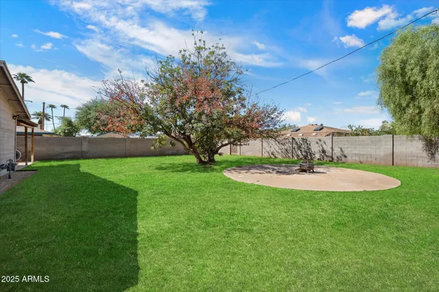 a view of a garden with an tree