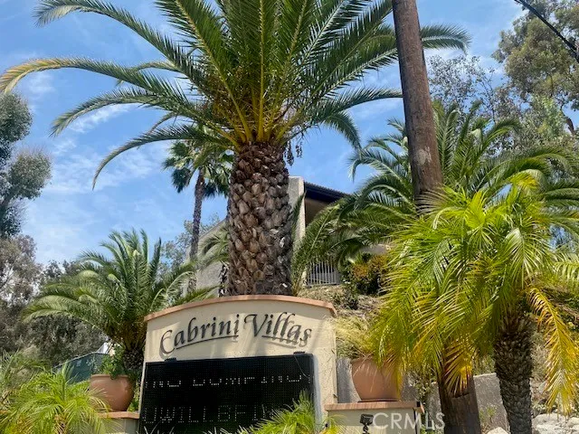 a view of a yard with plants and large trees