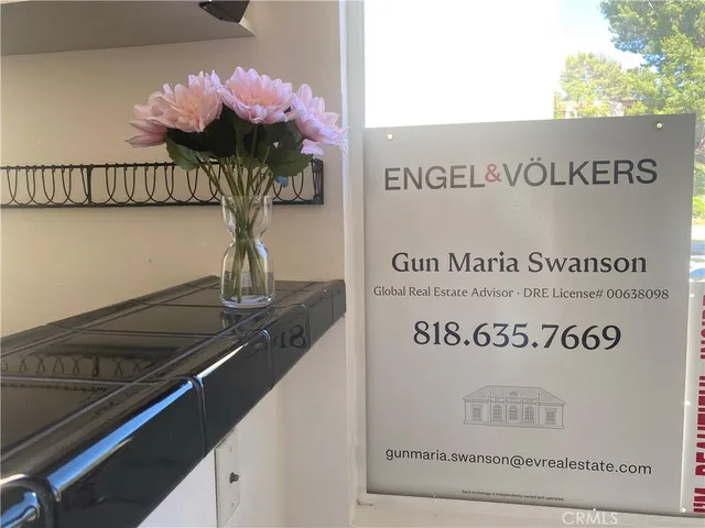 a close up of a sink a potted plant on a counter