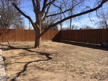 4315 41st Street Lubbock, TX 79413 - Photo 13 of 14 a view of backyard with tree