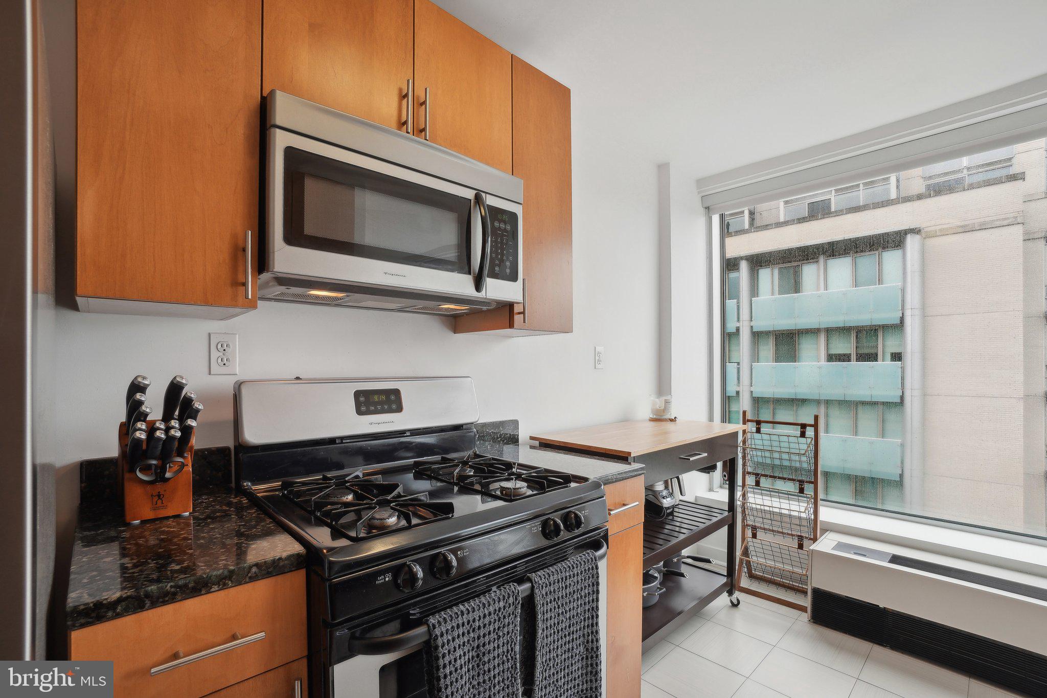 1101 3rd Street Southwest, Unit 706 Washington, DC 20024 - Photo 12 of 26 a kitchen with a stove and a microwave