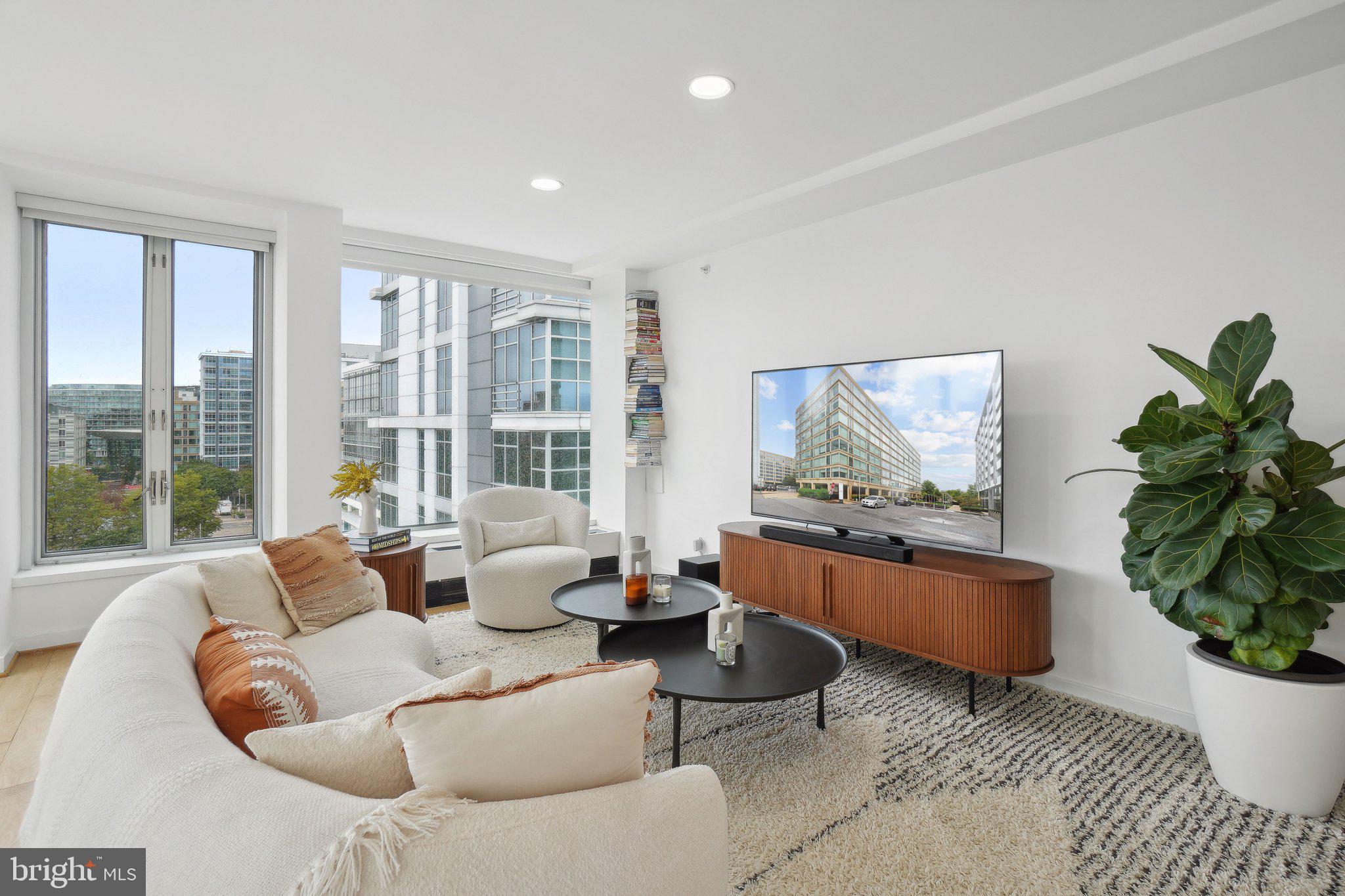 1101 3rd Street Southwest, Unit 706 Washington, DC 20024 - Photo 4 of 26 a living room with furniture and a potted plant