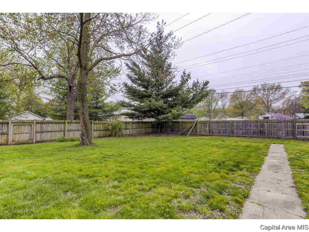 1733 South 4th Street Springfield, IL 62703 - Photo 33 of 35