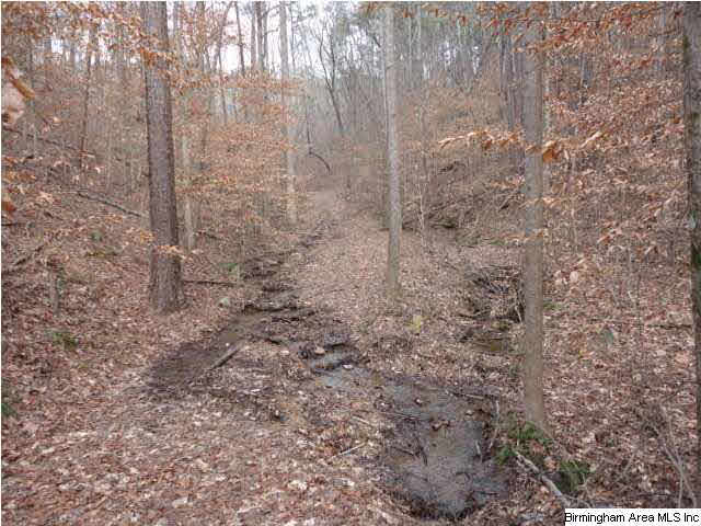 Donald Avenue, Unit 24 Attalla, AL 35954 - Photo 4 of 15