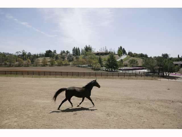 1082 Capra Way Fallbrook, CA 92028 - Photo 7 of 8