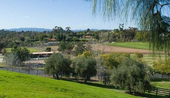 1082 Capra Way Fallbrook, CA 92028 - Photo 8 of 8