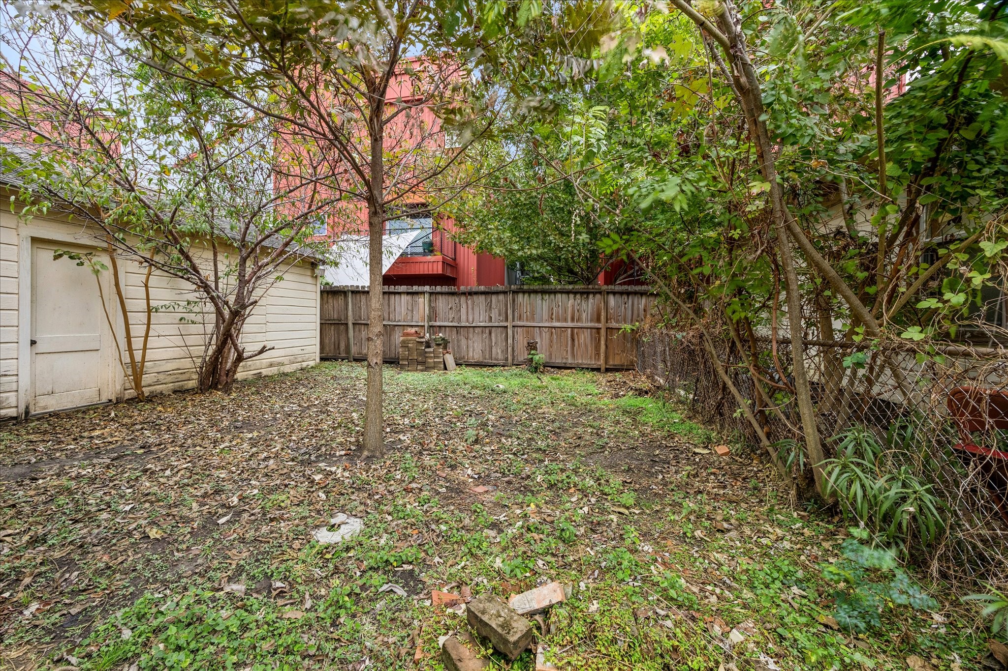 2909 Sherman Street Houston, TX 77003 - Photo 7 of 9 a view of a backyard with a large tree