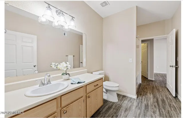 a bathroom with a sink a toilet and a large mirror