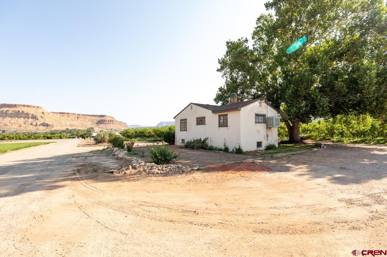 706 39 Road Palisade, CO 81526 - Photo 22 of 35 a view of a yard with a house