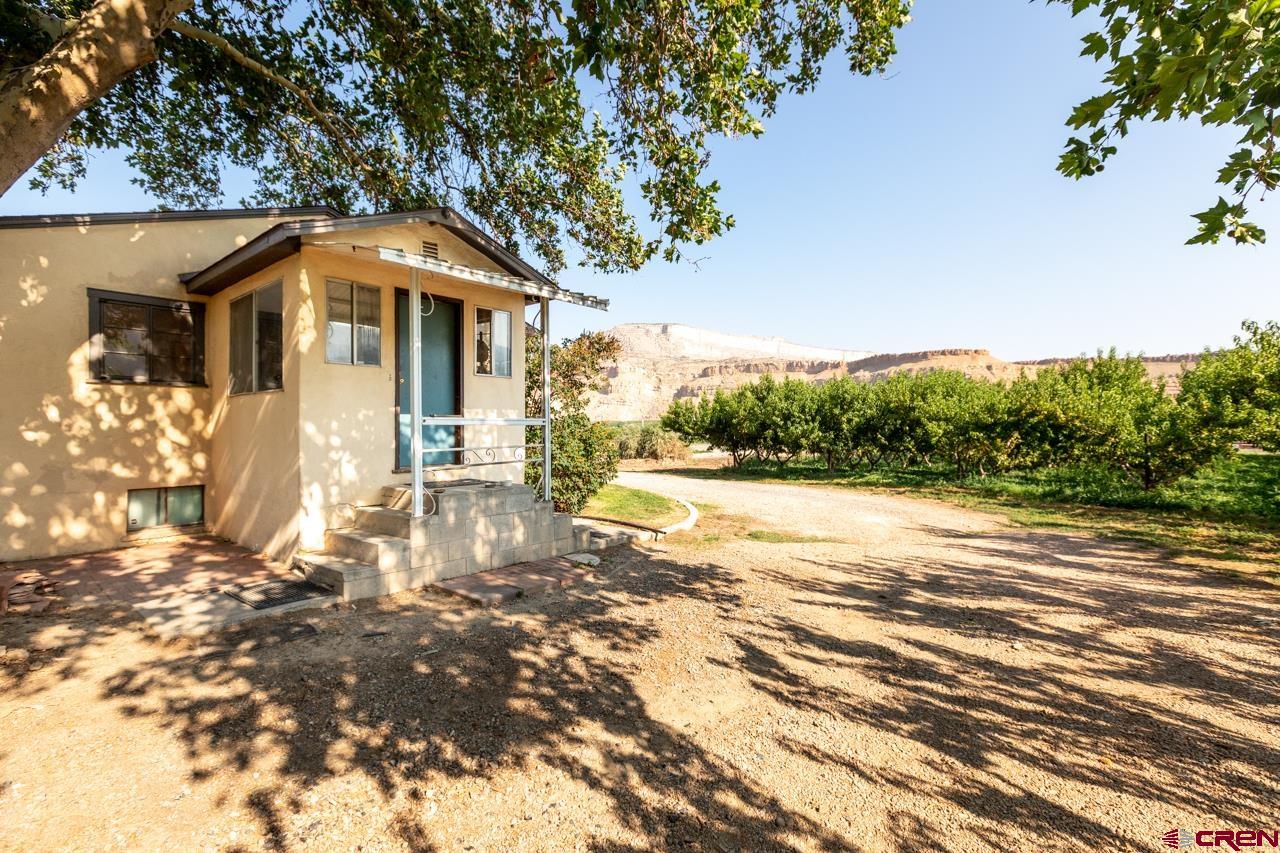 706 39 Road Palisade, CO 81526 - Photo 24 of 35 a front view of a house with a yard