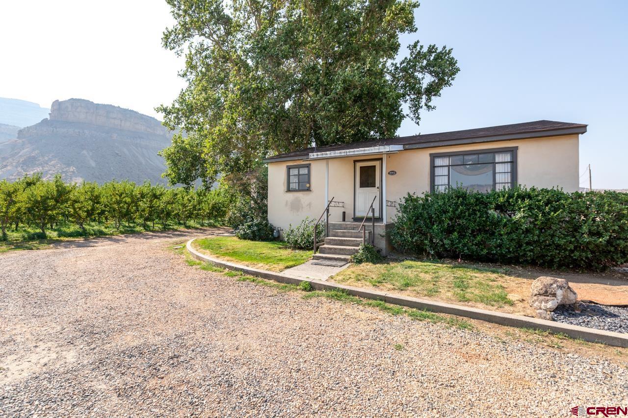 706 39 Road Palisade, CO 81526 - Photo 26 of 35 a view of a house with a yard and large tree