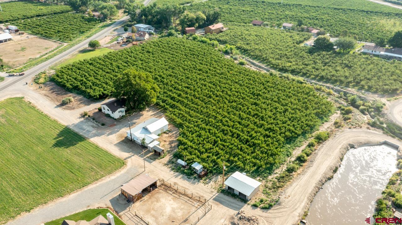 706 39 Road Palisade, CO 81526 - Photo 4 of 35 an aerial view of a house with a yard