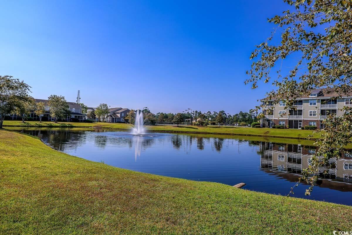 308 Kiskadee Loop, Unit E Conway, SC 29526 - Photo 24 of 28 Water view