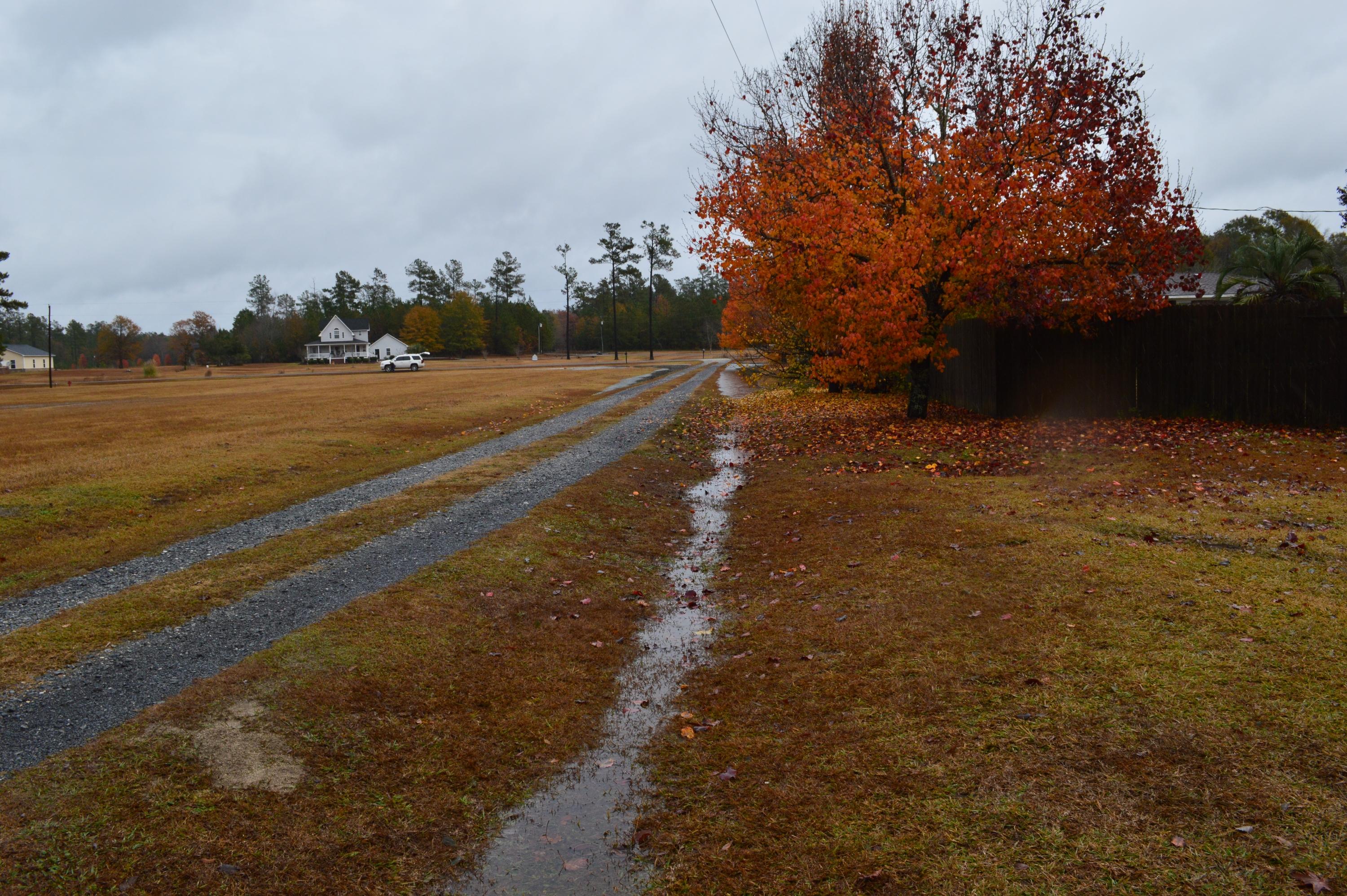 0 Barnyard Road Bonneau, SC 29431 - Photo 9 of 9 neely 011