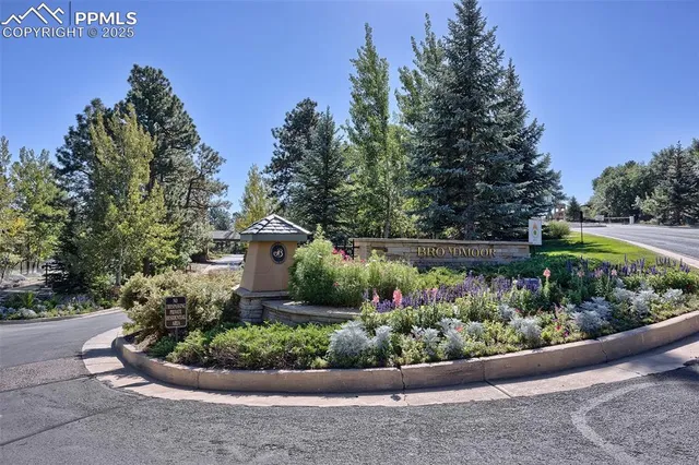 a view of a garden with a fountain