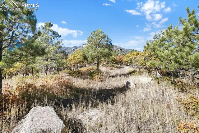 a view of a lake in between two of trees