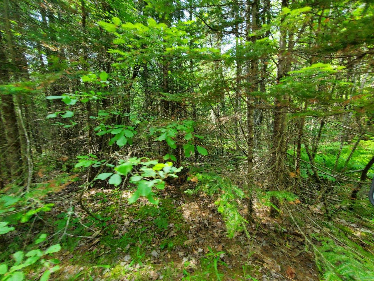 0 Morgan Road Burnham, ME 04922 - Photo 44 of 69 20250617_124353