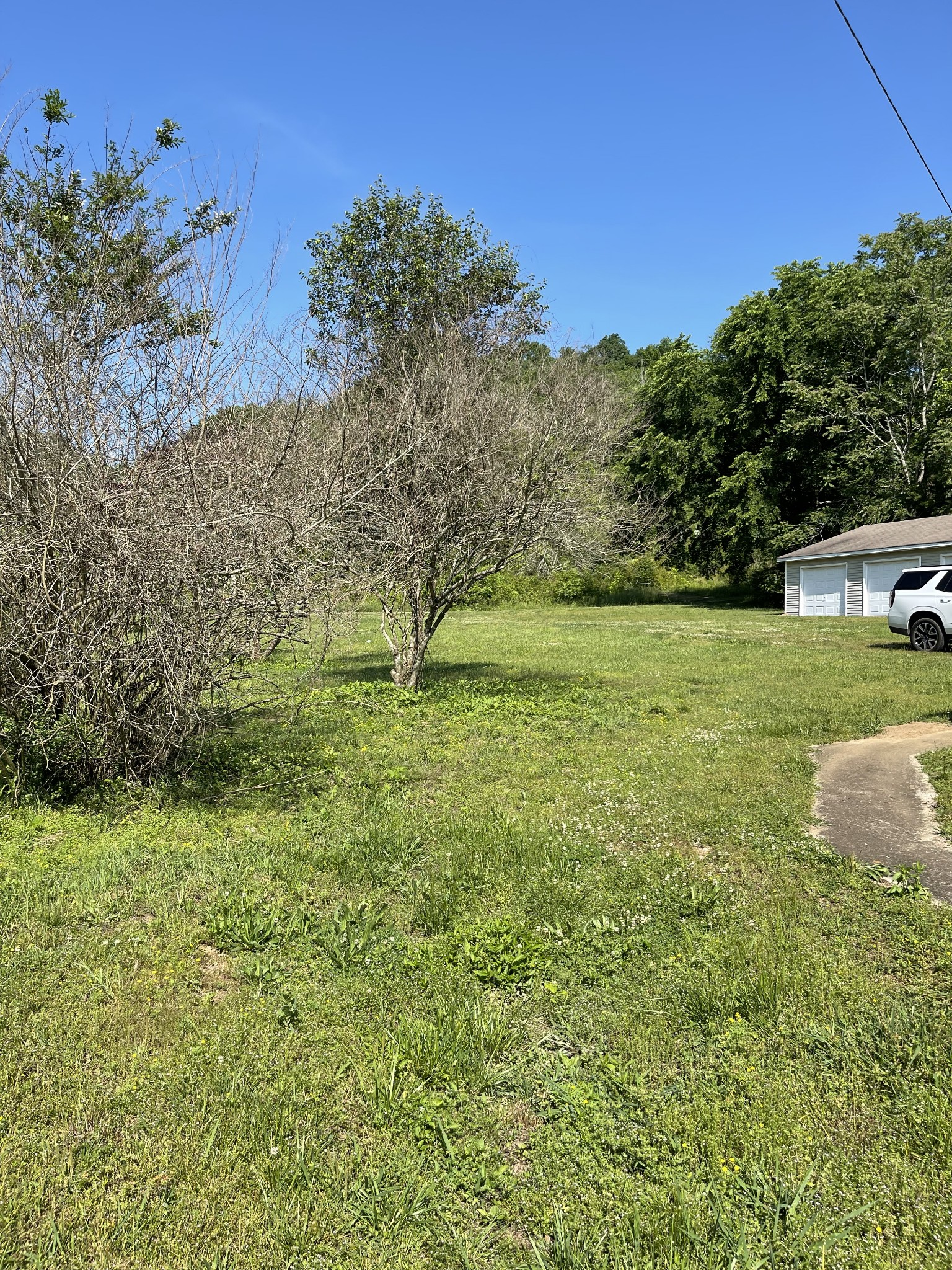 232 Old Walls Road Pulaski, TN 38478 - Photo 15 of 22 a view of an outdoor space and a yard