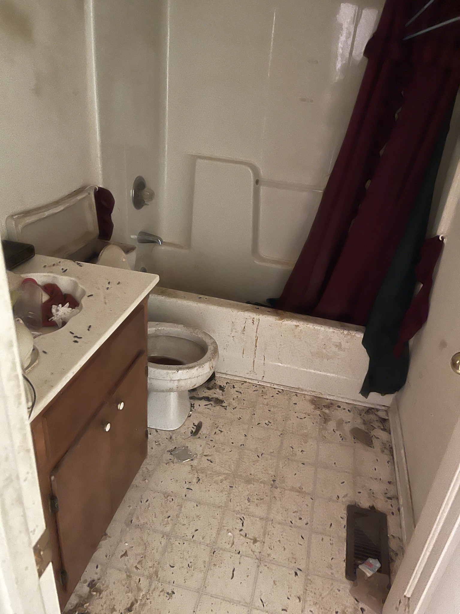 232 Old Walls Road Pulaski, TN 38478 - Photo 20 of 22 a bathroom with a granite countertop sink a toilet and a mirror