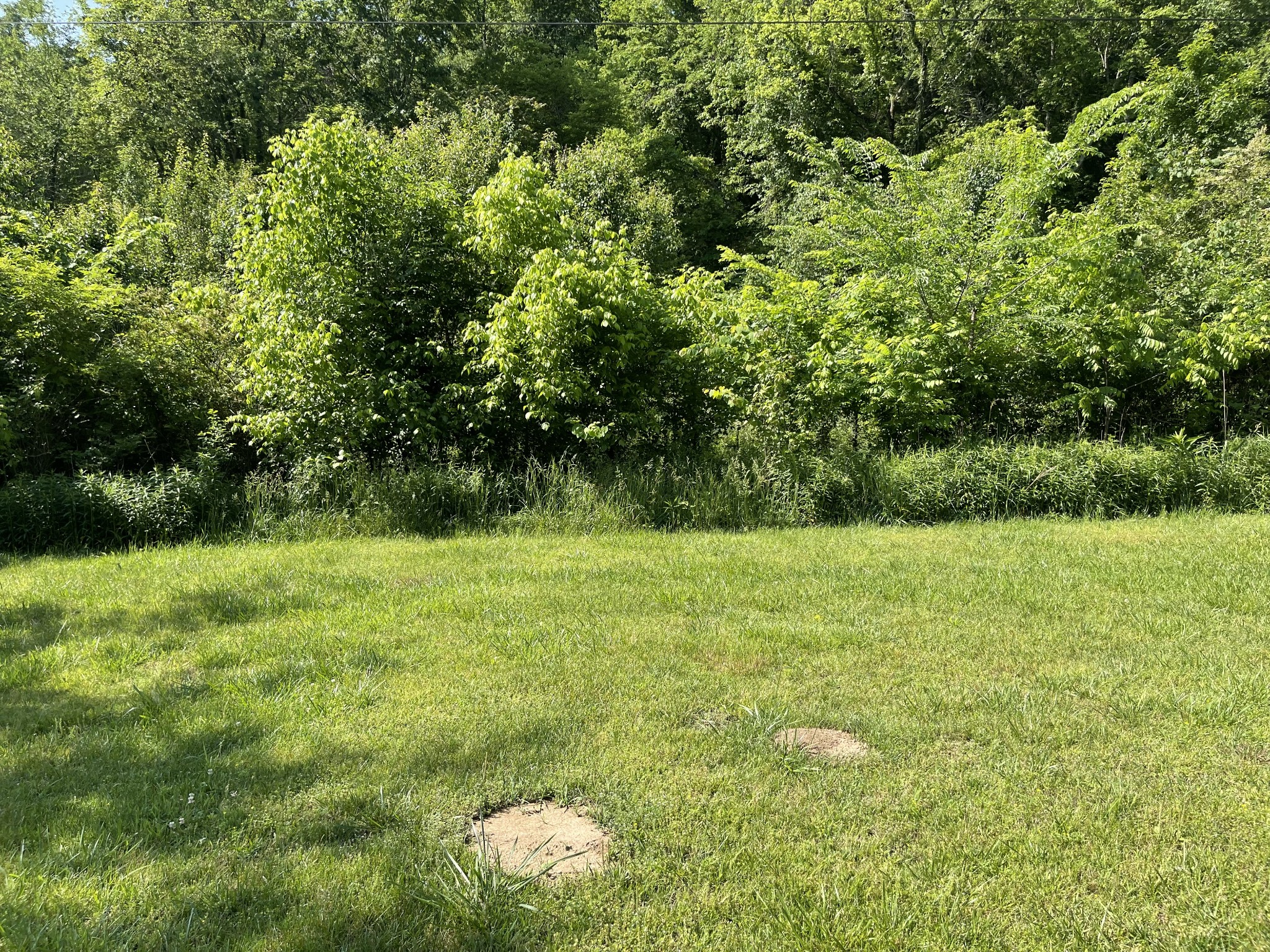 232 Old Walls Road Pulaski, TN 38478 - Photo 6 of 22 a view of a field of grass and trees