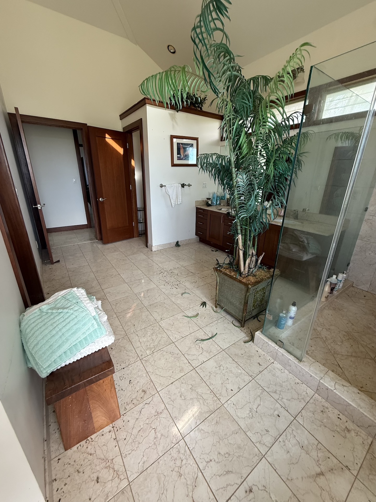 56-2962 Puakea Bay Road Kamuela, HI 96743 - Photo 4 of 5