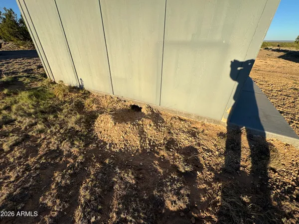 a view of a dry yard