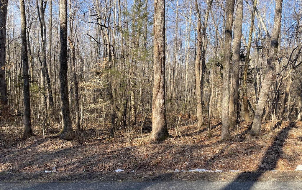 0 Plantersville Road Drakes Branch, VA 23937 - Photo 2 of 9 Gallery Image 2