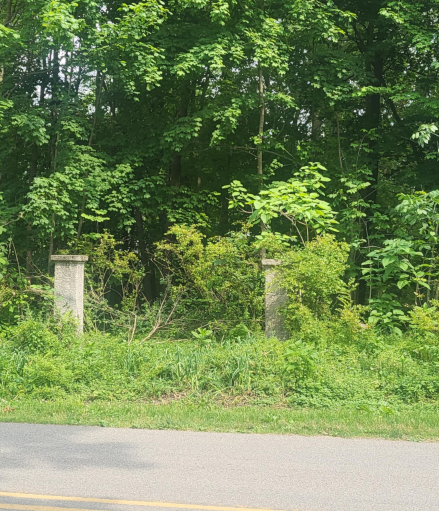 15853 Lakeshore Road Union Pier, MI 49129 - Photo 7 of 17 15853 LAKESHORE RD, UNION PIER